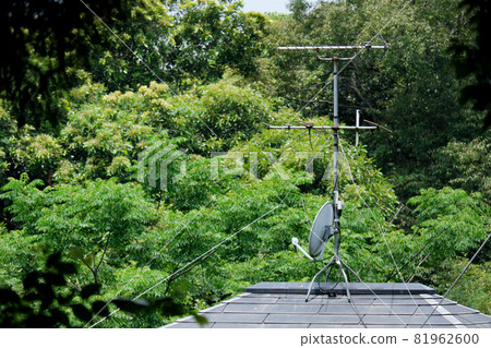 TV antenna of a house in the forest TV antenna of a house in the forest 81962600