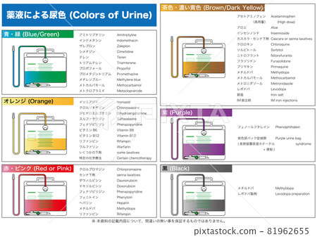 [醫療] 藥物作用引起的尿液顏色（水平） 81962655