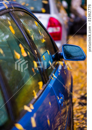 wet blue car side with autumn leaves and selective focus 81962776