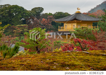 Beautiful Kinkakuji, golden pavilion temple surrounded by autumn garden on cloudy day, Kyoto. Beautiful Kinkakuji, golden pavilion temple surrounded by autumn garden on cloudy day, Kyoto. 81963129