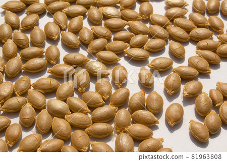 Sweet pumpkin seeds Sweet pumpkin seeds 81963808