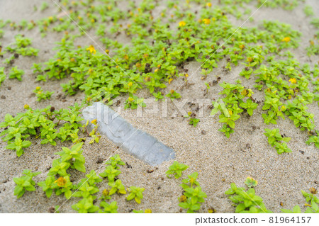 Garbage on the beach Environmental problems 81964157