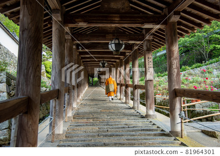 Peony flowers and priests blooming next to the corridor of Hase-dera Temple in Sakurai City, Nara Prefecture Peony flowers and priests blooming next to the corridor of Hase-dera Temple in Sakurai City, Nara Prefecture 81964301
