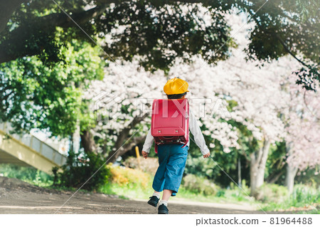 1st grade elementary school student 1st grade elementary school student 81964488