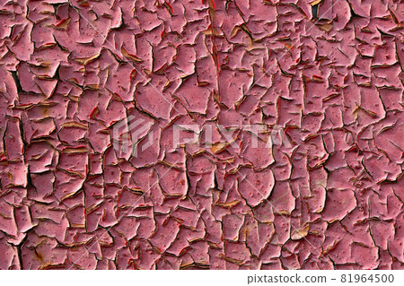 old pink peeling paint closeup flat background old pink peeling paint closeup flat background 81964500