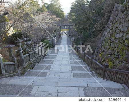 Torii and approach _ Sanuki Kotohiragu Shrine Torii and approach _ Sanuki Kotohiragu Shrine 81964644
