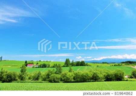 Hokkaido Autumn blue sky and Biei scenery 81964862