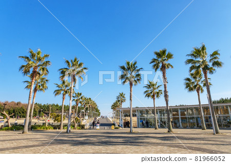 A park with a refreshing resort feeling Urayasu City Sogo Park Urayasu City, Chiba Prefecture A park with a refreshing resort feeling Urayasu City Sogo Park Urayasu City, Chiba Prefecture 81966052