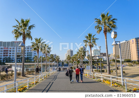 充滿度假氣息的公園 浦安市 崇光公園 千葉縣浦安市 81966053