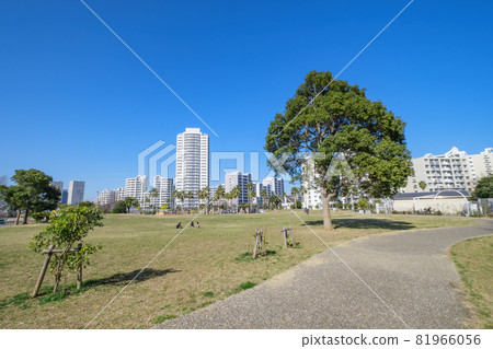 A park and condominium town with a resort feel, Urayasu City, Chiba Prefecture 81966056