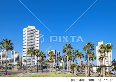 A park and condominium town with a resort feel, Urayasu City, Chiba Prefecture A park and condominium town with a resort feel, Urayasu City, Chiba Prefecture 81966058