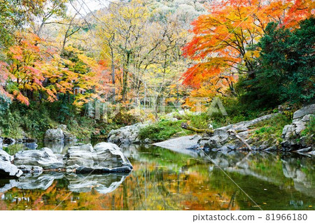 埼玉縣嵐山町嵐山溪谷的紅葉 埼玉縣嵐山町嵐山溪谷的紅葉 81966180