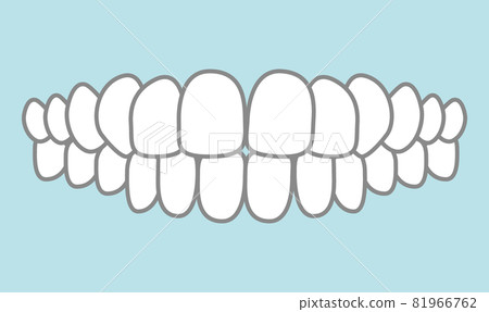 正確牙列的插圖 81966762