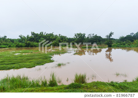 Aerial view river flood forest nature woodland area green tree, Top view river lagoon pond with water flood from above, landscape jungles lake flowing wild water after the rain Aerial view river flood forest nature woodland area green tree, Top view river lagoon pond with water flood from above, landscape jungles lake flowing wild water after the rain 81966787