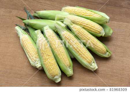 新鮮的玉米 81968309
