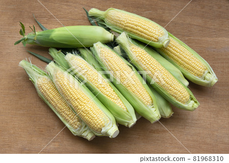 新鮮的玉米 81968310
