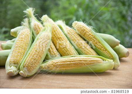 Fresh corn Fresh corn 81968519