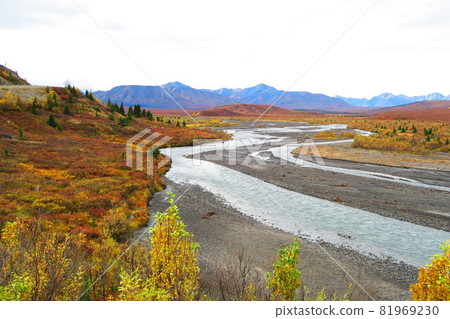 阿拉斯加德納利國家公園和自然保護區 81969230