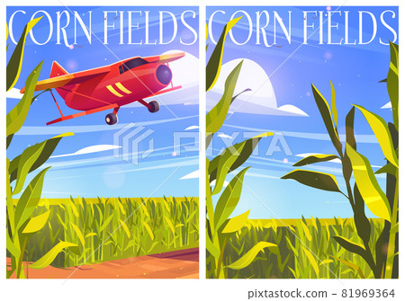 Corn fields posters with plants and red airplane Corn fields posters with plants and red airplane 81969364