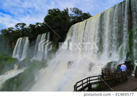 Iguazu Falls National Park 81969577