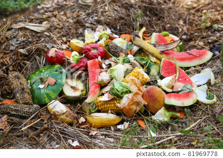 Domestic waste for compost from fruits and vegetables in garden. 81969778