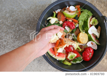 Domestic waste for compost from fruits and vegetables. Woman throws garbage. Domestic waste for compost from fruits and vegetables. Woman throws garbage. 81969780