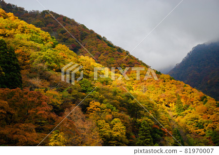 秋山陰霾的秋景 秋山陰霾的秋景 81970007