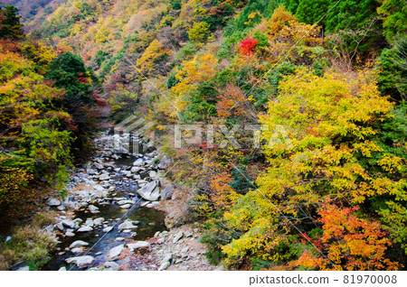 秋山洪流,水清 秋山洪流,水清 81970008