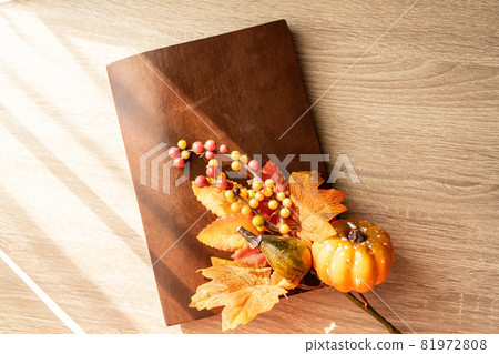 Fall of reading 81972808