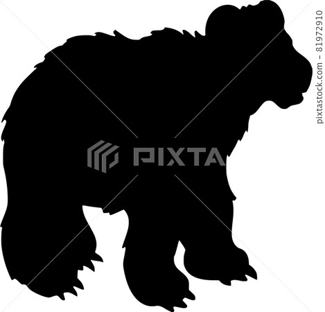 Vector silhouette of Bear on white background Vector silhouette of Bear on white background 81972910