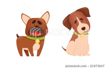 Funny Bulldog and Jack Russell Terrier Dog with Collar as Four-legged Friend and Domestic Pet Vector Set Funny Bulldog and Jack Russell Terrier Dog with Collar as Four-legged Friend and Domestic Pet Vector Set 81973647