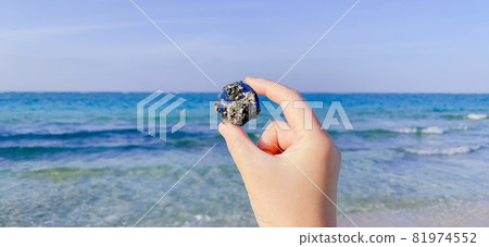 【海洋垃圾】被沖上美麗海灘的PET瓶蓋 【海洋垃圾】被沖上美麗海灘的PET瓶蓋 81974552
