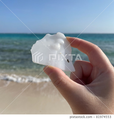[Marine debris] Plastic debris that has washed ashore on a beautiful beach 81974553