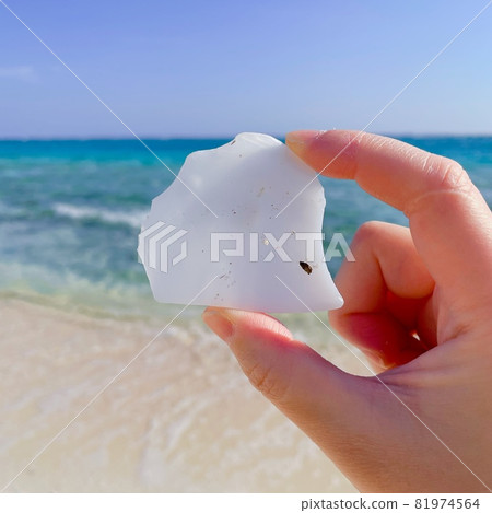 [Marine debris] Plastic debris that has washed ashore on a beautiful beach 81974564