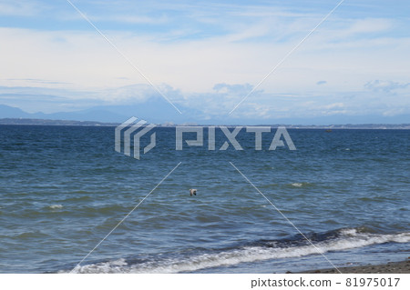 我沿著和田海岸散步 我沿著和田海岸散步 81975017