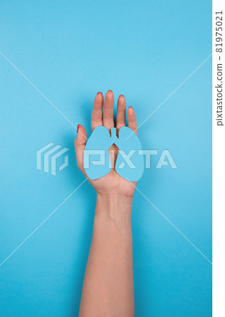 Women's hands hold a paper lungs symbol Women's hands hold a paper lungs symbol 81975021