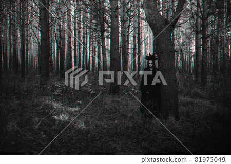 dark portrait of a frightening witch in black costume 81975049