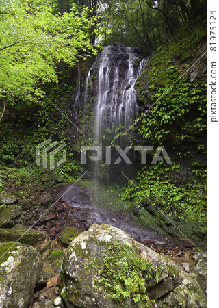Cool Waterfall（和歌山縣日高區日高川町） 81975124