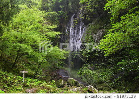 Cool Waterfall（和歌山縣日高區日高川町） 81975129