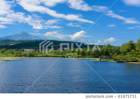 Mt. Chokai seen from the pond 81975731