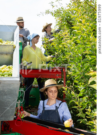 Farmers working on harvesting platform 81975999
