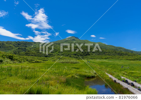 夏天的龍之原濕地 夏天的龍之原濕地 81976066