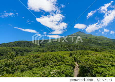Ryugahara Wetland in Summer Ryugahara Wetland in Summer 81976074