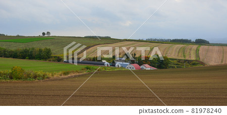 Rural scenery of Furano, Japan Rural scenery of Furano, Japan 81978240