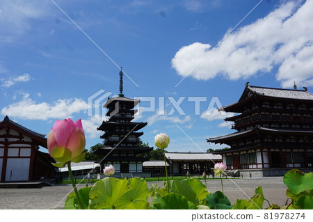 Yakushiji寺和蓮花 81978274