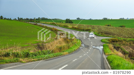 Rural road in Furano, Japan 81978290