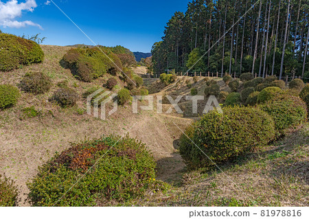 史蹟 山中城遺址 西塔護城河 史蹟 山中城遺址 西塔護城河 81978816