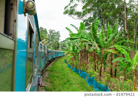 Travel by public train around the island of Sri Lanka. The train travels through mountains and tea plantations. Scenic railway Travel by public train around the island of Sri Lanka. The train travels through mountains and tea plantations. Scenic railway 81979422