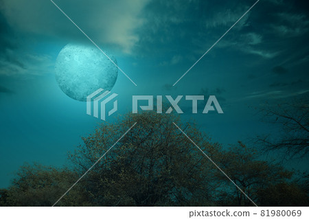 Full moon with dark cloudscapes on the night Full moon with dark cloudscapes on the night 81980069