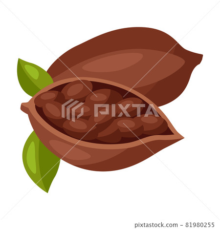 Illustration of chocolate beans. Food item for bars, restaurants and shops. Illustration of chocolate beans. Food item for bars, restaurants and shops. 81980255